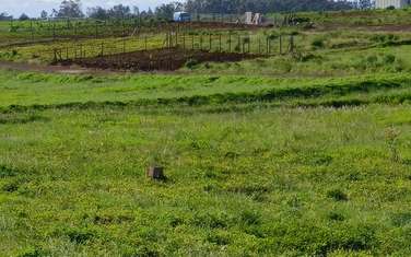 Land in Membley