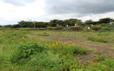 0.5 ac Residential Land in Langata