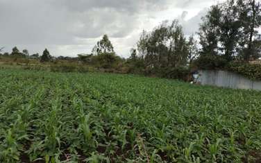  0.25 ac land for sale in Nakuru