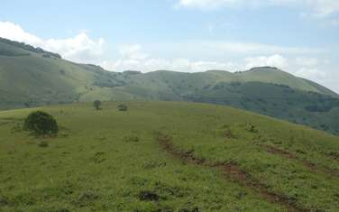 1 ac Land at Next Chyulu Hills