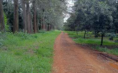 0.5 ac Residential Land at Gatanga Road