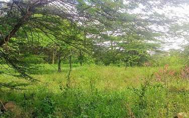   land for sale in Kiserian
