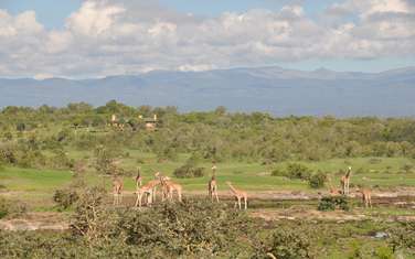 Commercial Land at Sangare Conservancy
