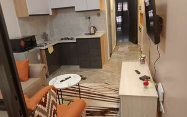 Furnished 1 Bed Apartment with En Suite at Near Yaya