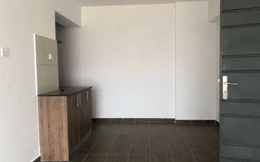 2 Bed Apartment with En Suite in Pangani
