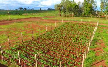 0.115 ac Residential Land at Mugutha-Murera