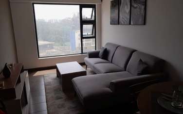 Serviced 2 Bed Apartment with En Suite in Ngara
