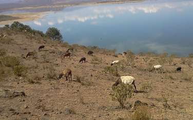 404,700 m² Land in Gilgil