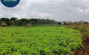 0.25 ac residential land for sale in Thika
