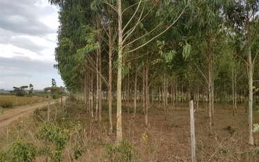 20,235 m² Land in Naivasha