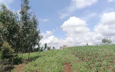 Residential Land at Kikuyu