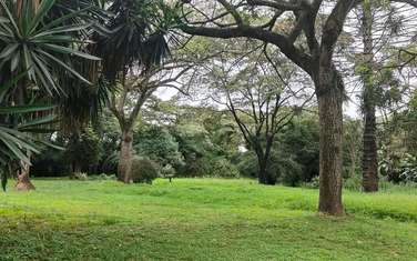 200 ac Land at Kilimani