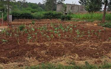 Residential Land in Tatu City