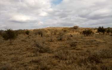 Land at Lorogoswa