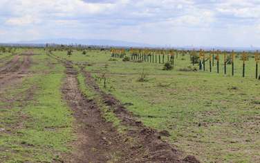 5,000 ft² Residential Land at Mwalimu Farm