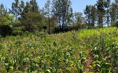 1 ac Residential Land in Ngong