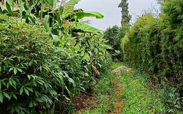 0.5 ac Land in Nyari