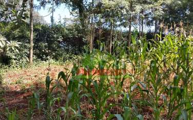 1000 m² residential land for sale in Kikuyu Town