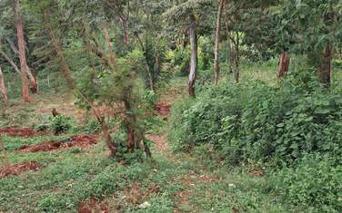 Commercial Land in Tatu City