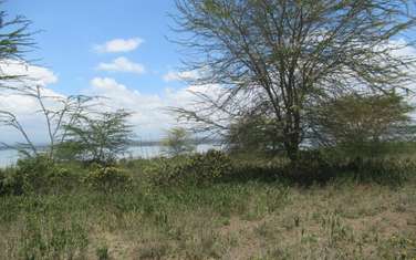 Land at Lake Elementaita