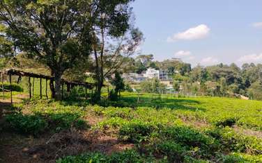 0.7 ac Land at Riara Ridge Area