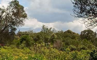 Land in Nanyuki