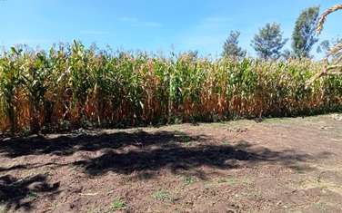 10 ac Land at Off Naivasha-Nakuru Highway