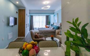 Studio Apartment with En Suite in Kilimani