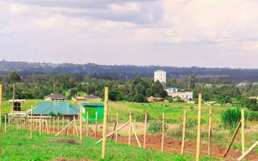 0.050 ha Land in Kikuyu Town