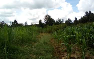 0.75 ac Residential Land at Wangige