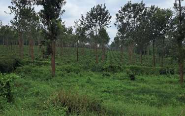 Residential Land in Tatu City