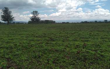 Land at Nakuru
