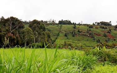 0.005 ha Residential Land at Kikuyu -Mutarakwa Rd