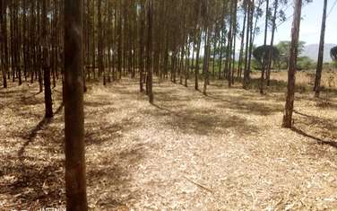 2 ha Residential Land in Naivasha