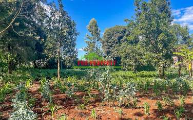 0.06 ha Commercial Land at Thogoto
