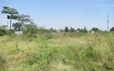 Land at Nyasa Rd