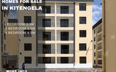 Serviced 3 Bed Apartment with En Suite in Kitengela