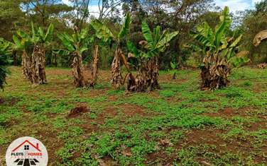 1,000 m² Commercial Land at Thogoto