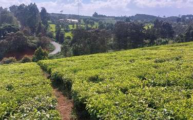 Land at Riara Ridge