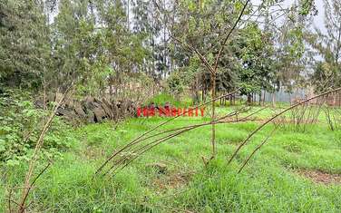 0.05 ha Commercial Land in Kikuyu Town