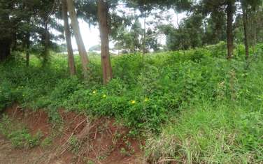 0.25 ac residential land for sale in Red Hill