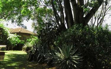 4 Bed House in Lavington