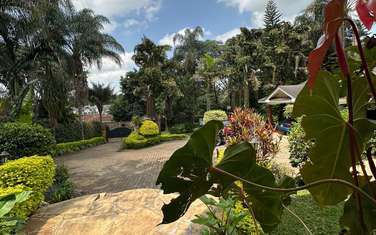 6 Bed House with En Suite in Nyari