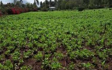 0.113 ac land for sale in Ngong