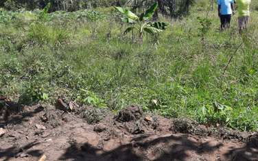 Commercial Land at Diani