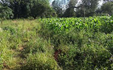  1000 m² residential land for sale in Ngong