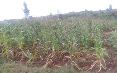 64,000 ft² Land at Kiambu Riabai