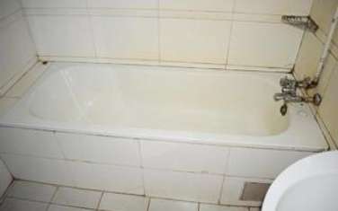 f3624518-fadd-47a9-9d2c-d894f4b0f9ec
