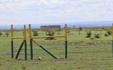 5,000 ft² Residential Land at Mwalimu Farm