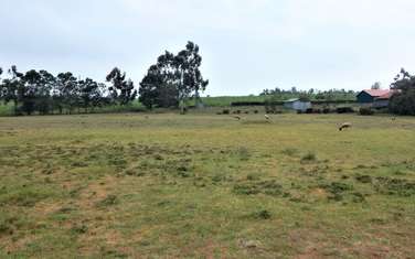0.042 ha Residential Land at Rwamburi Rd